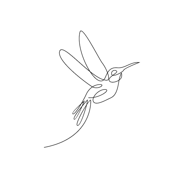 Vector hummingbird line illustration