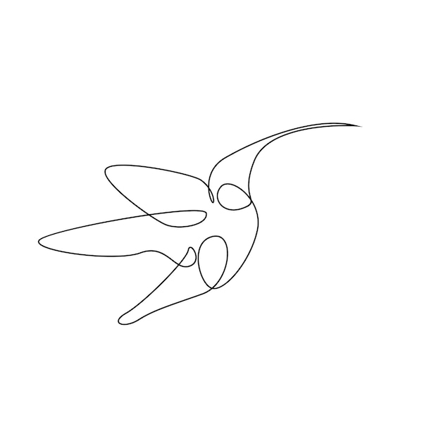 Vector hummingbird line illustration