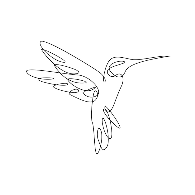 Vector hummingbird line illustration
