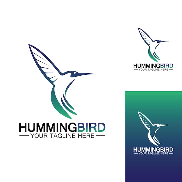 Modello di vettore di progettazione del logo di colibrì