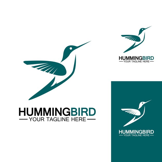 Hummingbird logo design vector template