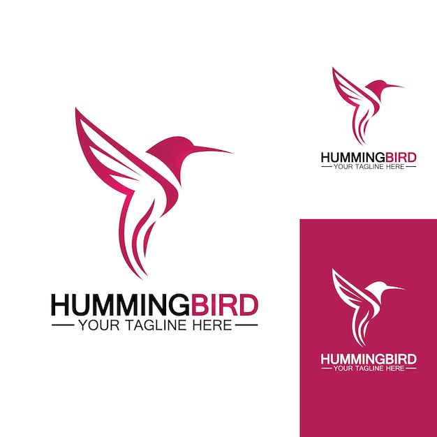 Hummingbird logo design vector template