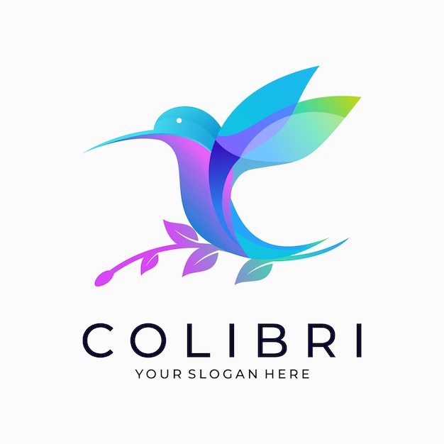 Modello vettoriale logo colibrì