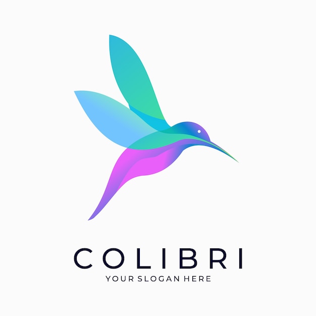 Vettore logo del colibrì