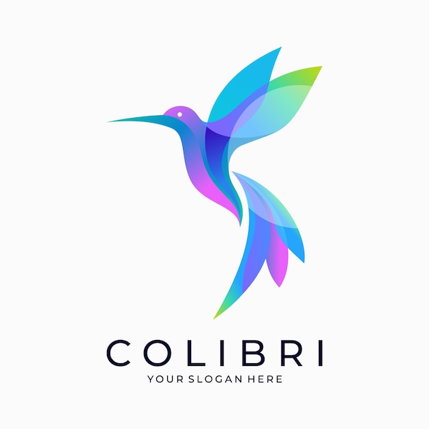 Vettore logo del colibrì