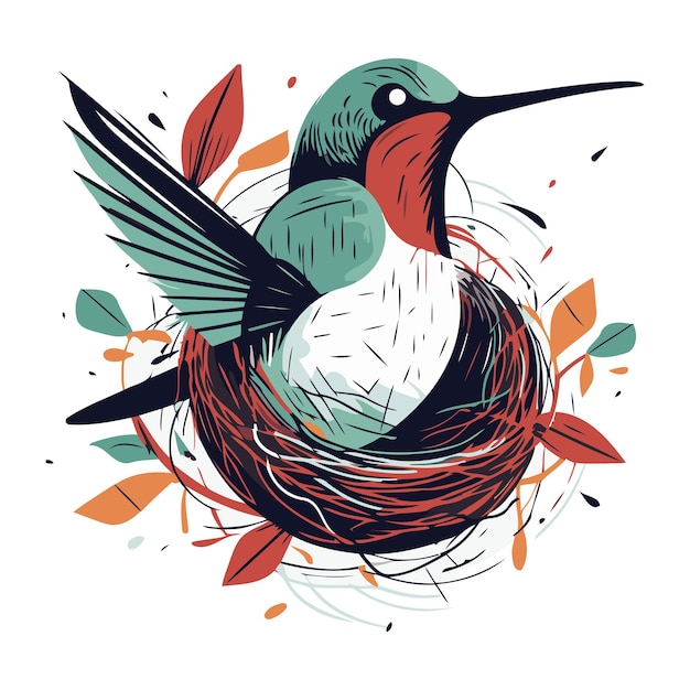 Hummingbird in the nest Vector illustration on white background