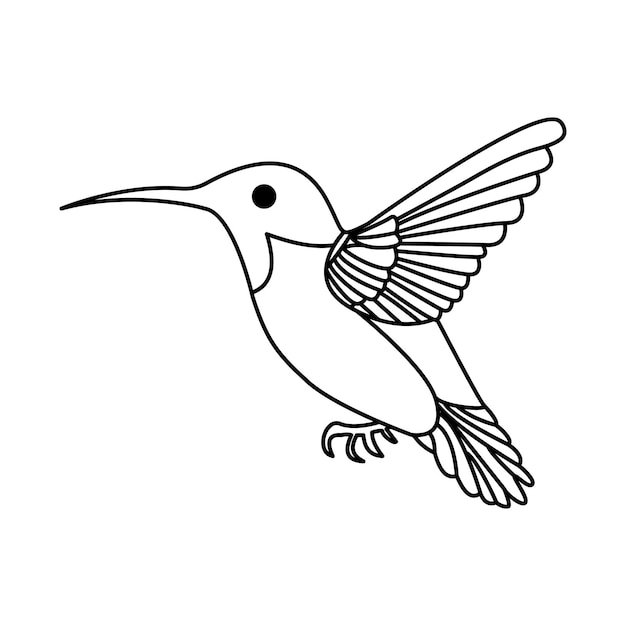 Vector hummingbird single continuous one line out line vector art drawing and tattoo design