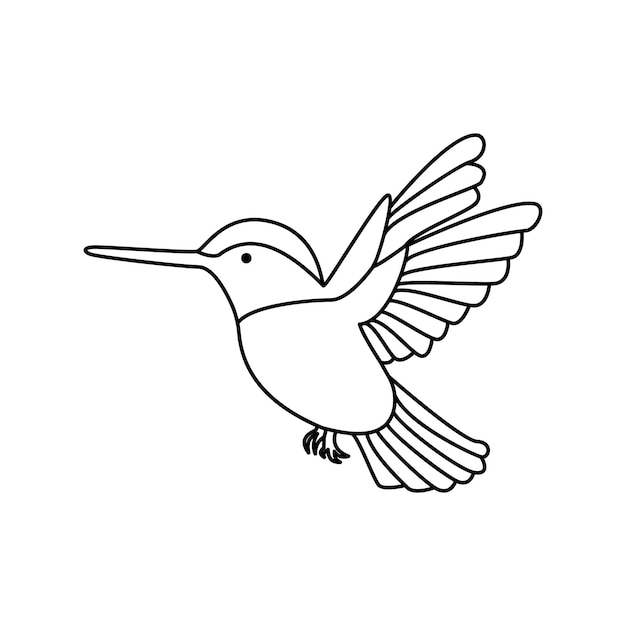 hummingbird single continuous one line out line vector art drawing and tattoo design