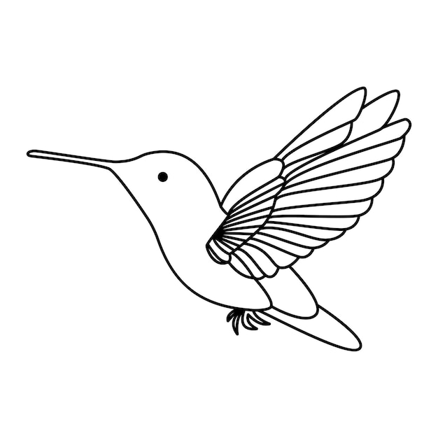 Vector hummingbird single continuous one line out line vector art drawing and tattoo design