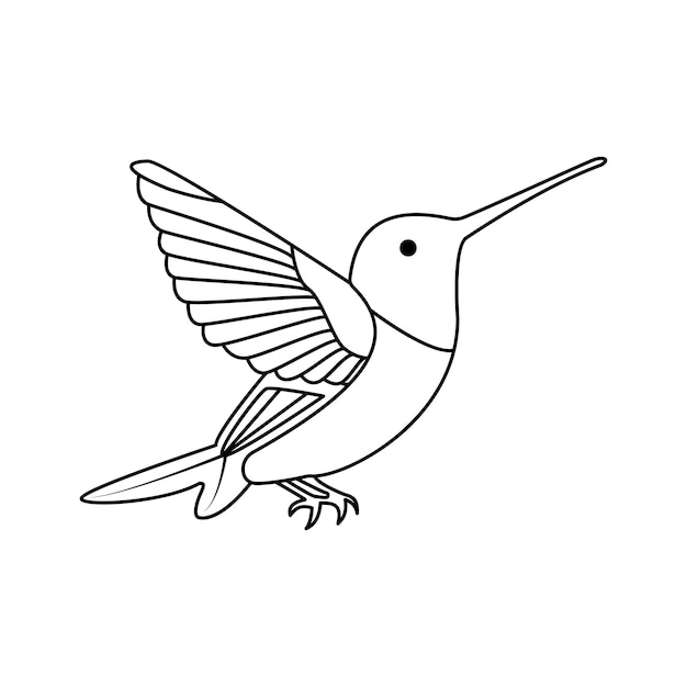 hummingbird single continuous one line out line vector art drawing and tattoo design