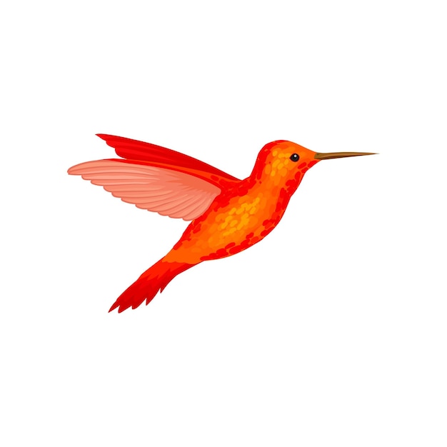 Vector hummingbird tiny colibri with bright orange plumage vector illustration isolated on a white background