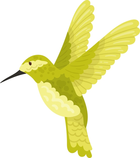 Colibrì uccello tropicale