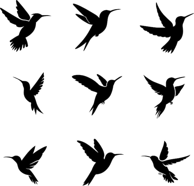 hummingbird vector silhouette illustration 4