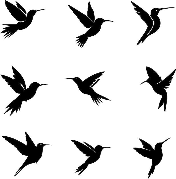 Vector hummingbird vector silhouette illustration