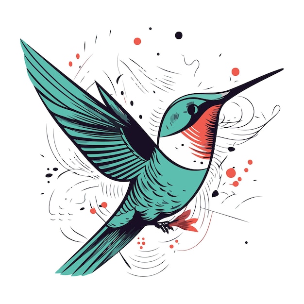 Hummingbird on a white background Hand drawn vector illustration