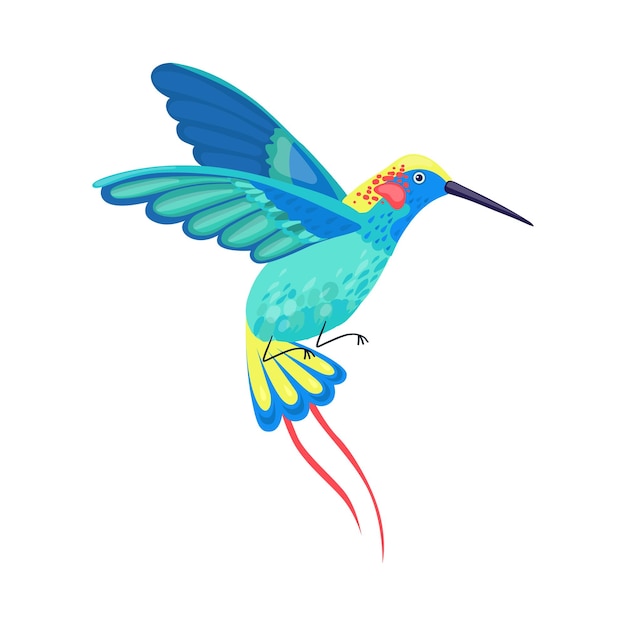 Vector hummingbird with bright feathers hovering vector illustration