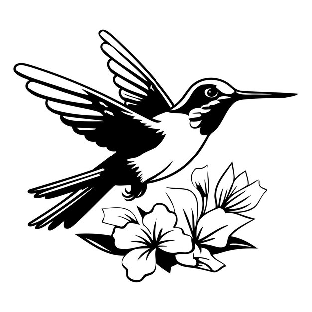 Vector hummingbird with hibiscus flower vector illustration