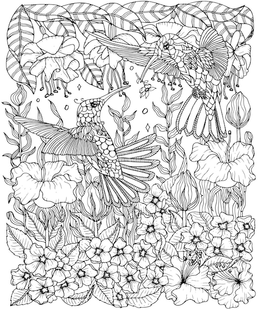 Vector hummingbirds and flowers coloring page