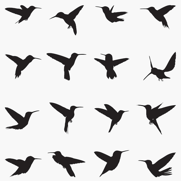 Hummingbirds Silhouettes illustration