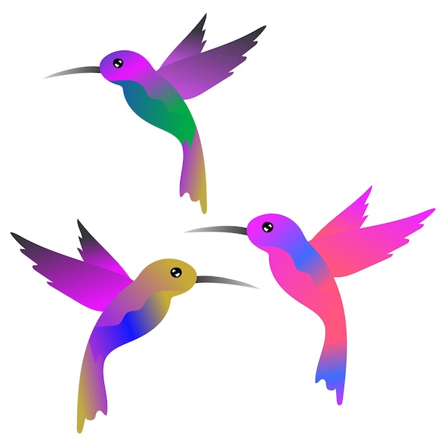 Vector hummingbirds vector  illustration