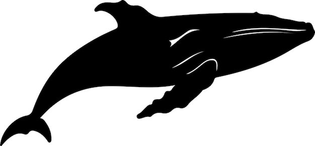 Vector humpback whale black silhouette with transparent background