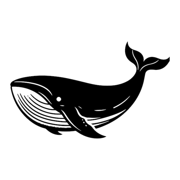 humpback whale fish silhouette vector illustration