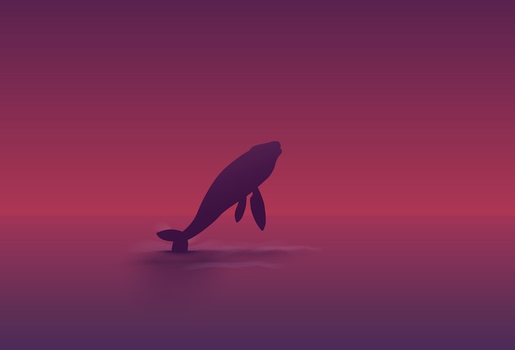 Vector humpback whale jumping in the ocean at sunset