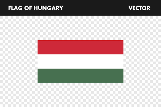 Hungary flag flag of hangary illustration flag picture vector