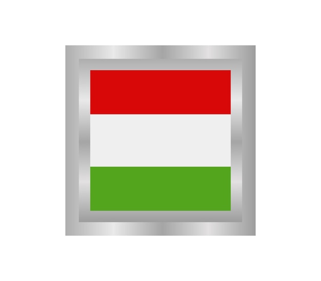Vettore ungheria bandiera