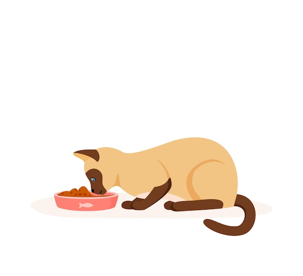 Vettore gatto affamato che mangia cibo dalla ciotola gatto domestico siamese che ha buon appetito alimentazione dell'animale domestico con crocchette