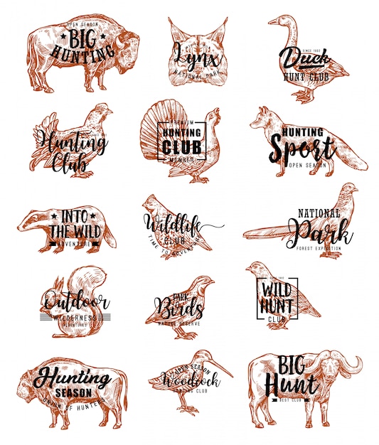 Hunt open season animals and birds lettering icons