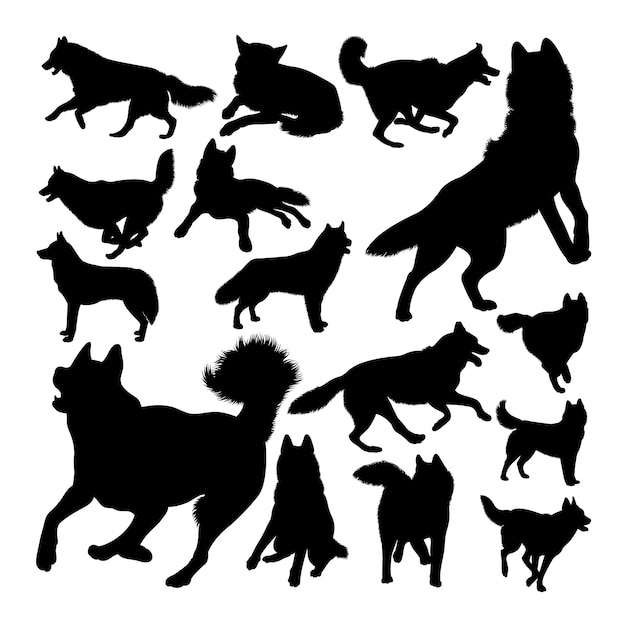 Husky dog animal silhouettes