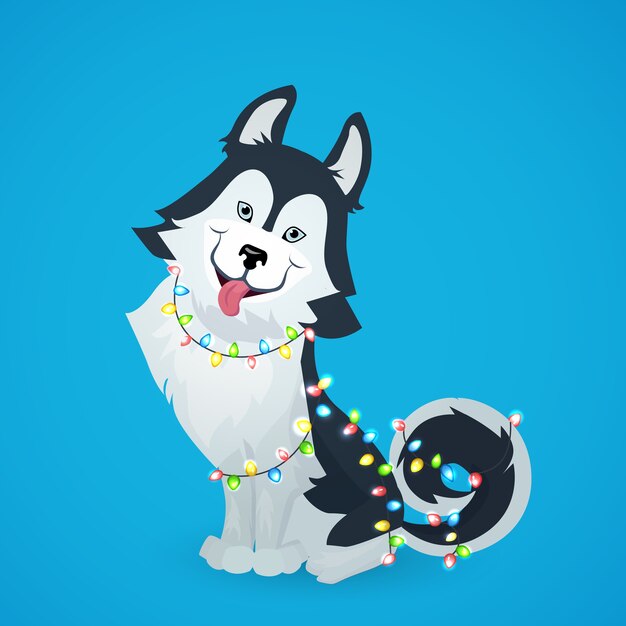 Husky dog sitting on blue background with garland of christmas lights.