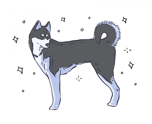 Vector ็husky dogs has black and white color