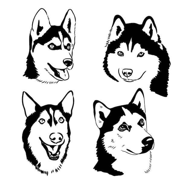 Husky hond portret vector illustratie husky vector