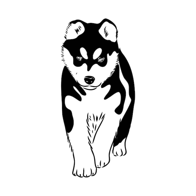 Husky isolated on white background stencil dog silhouette