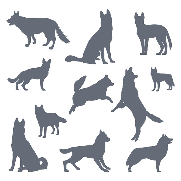 Vector husky silhouette set