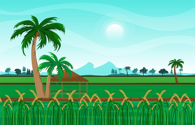 Vettore capanna asian paddy rice campo agricoltura natura vista illustration