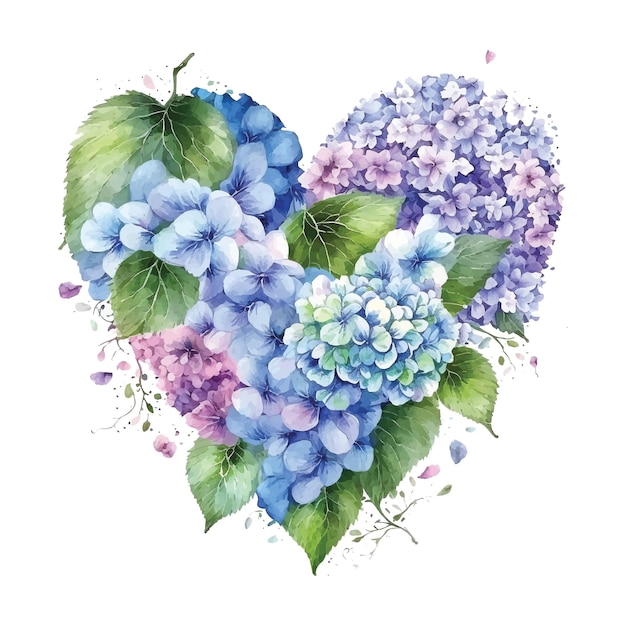 Hydrangea flower in heart shape watercolor paint