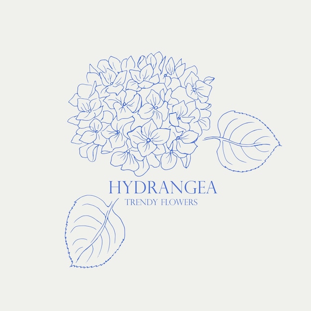 Hydrangea Logo Trendy botanical elements Hand drawn line leaves and flowers Line art