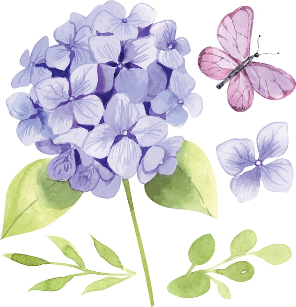 Vector hydrangea with butterfly vector