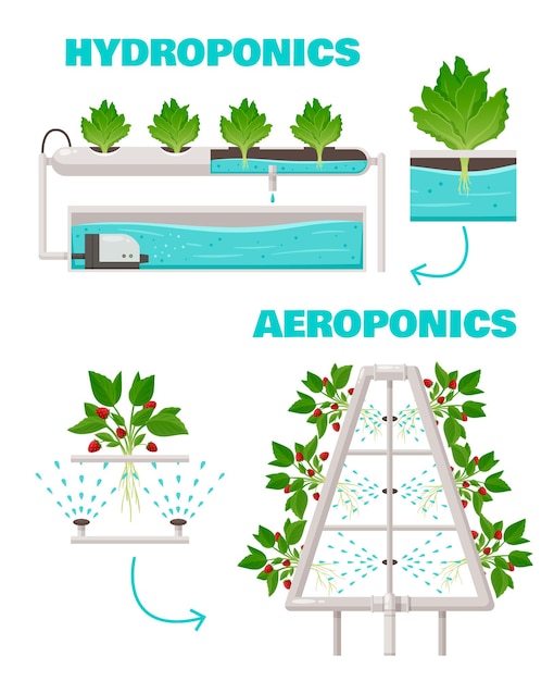 Hydrocultuur en aeroponics concept met drenken en snelle groei symbolen cartoon