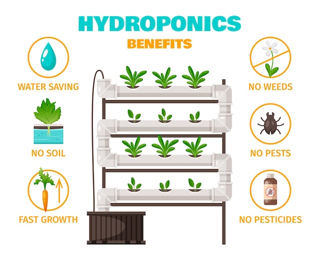 Hydrocultuur voordelen concept met waterbesparing en snelle groei symbolen cartoon