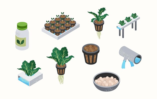 Hydroponics illustration