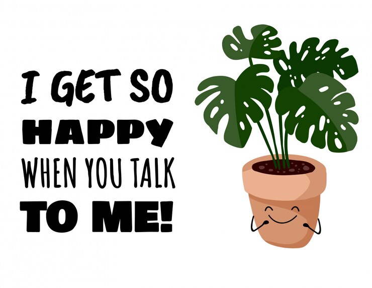 かわいいかわいい多肉植物のポストカードを私に話すと、私はとても幸せになります。モンステラ鉢植え多肉植物バナー。