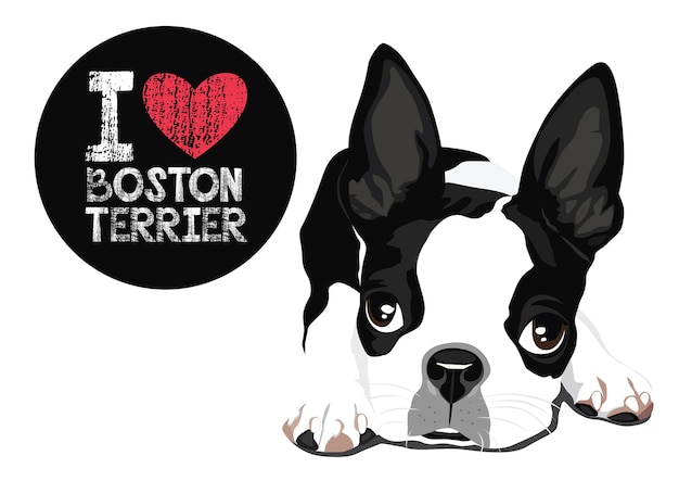 Vector i love boston terrier vector