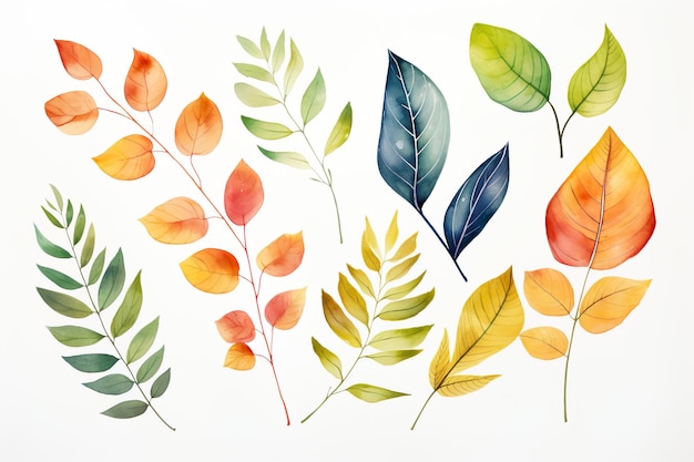 Vector ibrant herfstbladeren clipart collectie