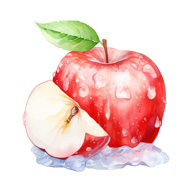 Ice apple watercolor clipart white background