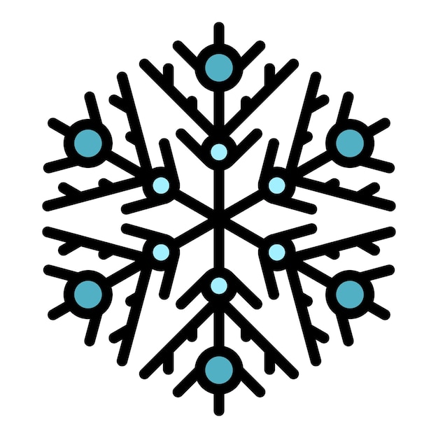 Ice snowflake icon Outline ice snowflake vector icon color flat isolated
