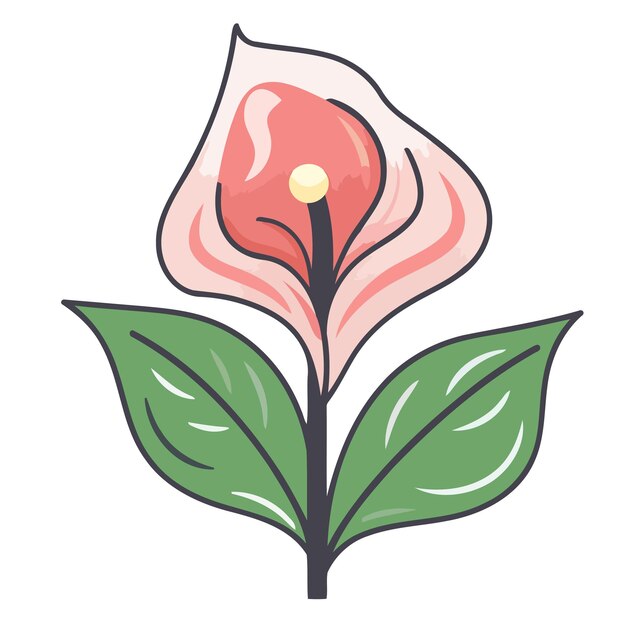 Vector an icon of an anthurium plant in vector format suitable for representing houseplants